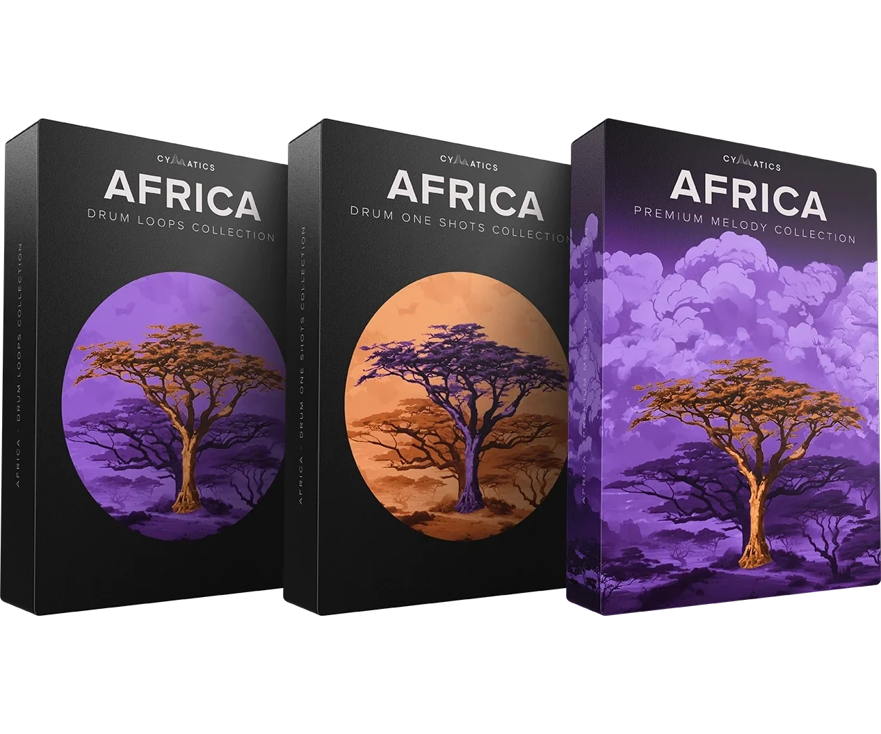 Journeys: Africa World Collection